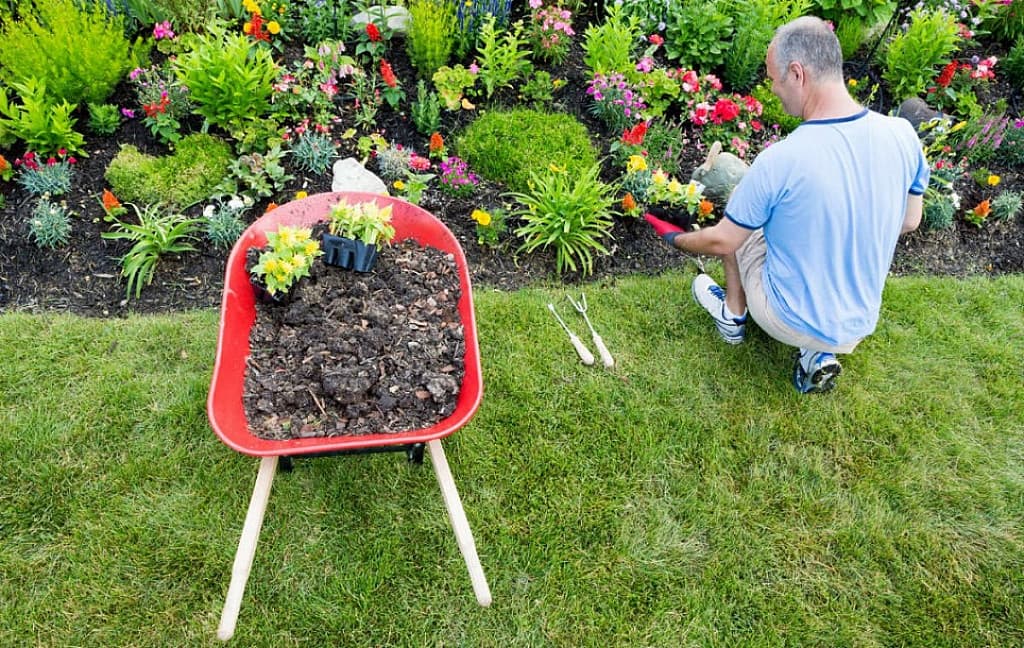Comparatif des meilleurs jardiniers à Nice : le guide 2026 pour un jardin d’exception sur la Côte d’Azur